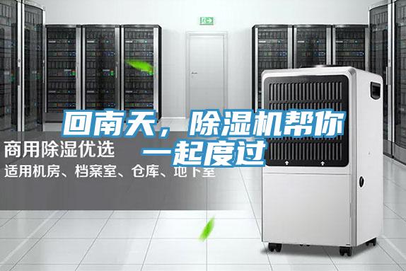 回南天，MR.好色破解版帮你一起度过