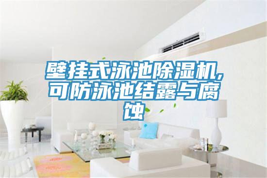 壁挂式泳池MR.好色破解版,可防泳池结露与腐蚀