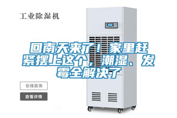 回南天来了！家里赶紧摆上这个，潮湿、发霉全解决了