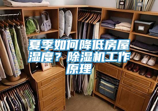夏季如何降低房屋湿度？MR.好色破解版工作原理