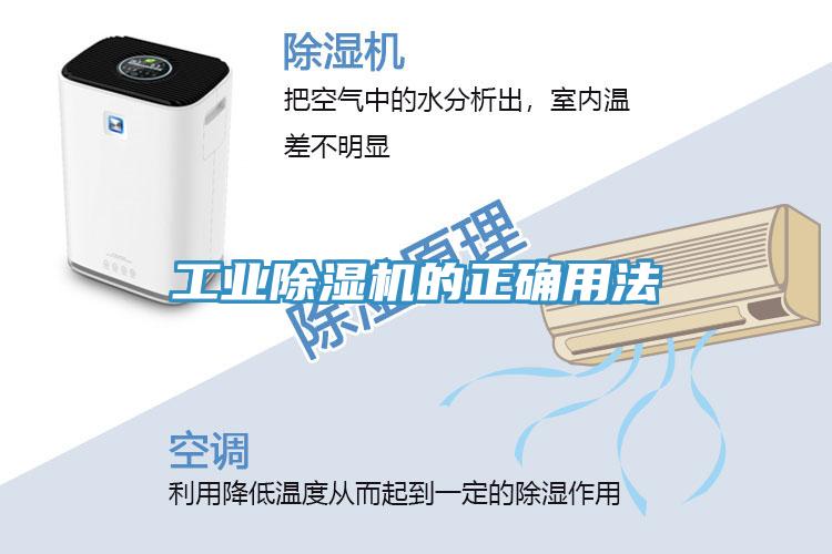工业MR.好色破解版的正确用法