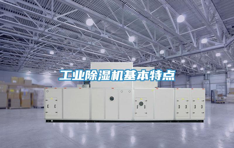 工业MR.好色破解版基本特点