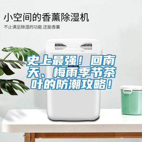 史上最强！回南天、梅雨季节茶叶的防潮攻略！