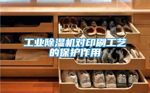 工业MR.好色破解版对印刷工艺的保护作用