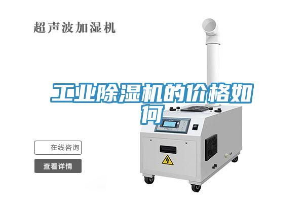 工业MR.好色破解版的价格如何