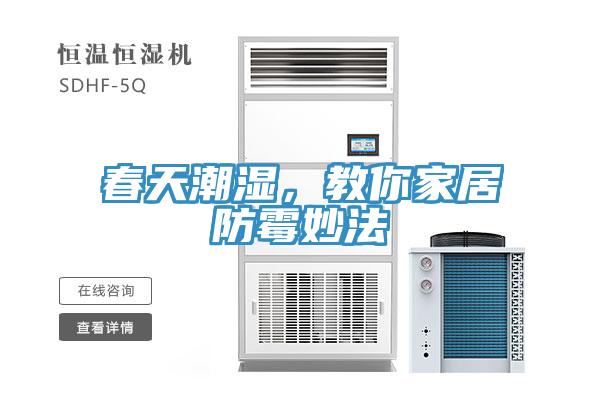 春天潮湿，教你家居防霉妙法