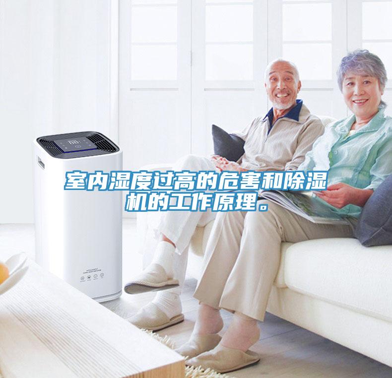 室内湿度过高的危害和MR.好色破解版的工作原理。