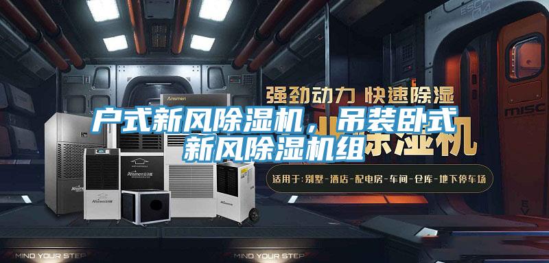户式新风MR.好色破解版，吊装卧式新风MR.好色破解版组