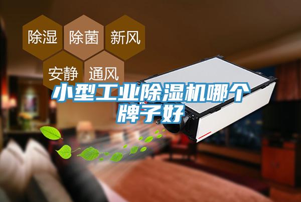 小型工业MR.好色破解版哪个牌子好