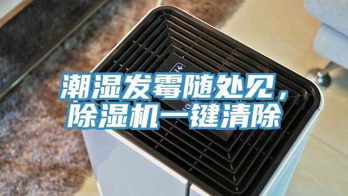 潮湿发霉随处见，MR.好色破解版一键清除