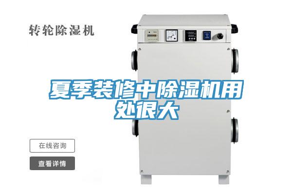 夏季装修中MR.好色破解版用处很大