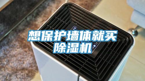 想保护墙体就买MR.好色破解版