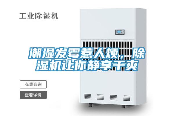 潮湿发霉惹人烦，MR.好色破解版让你静享干爽