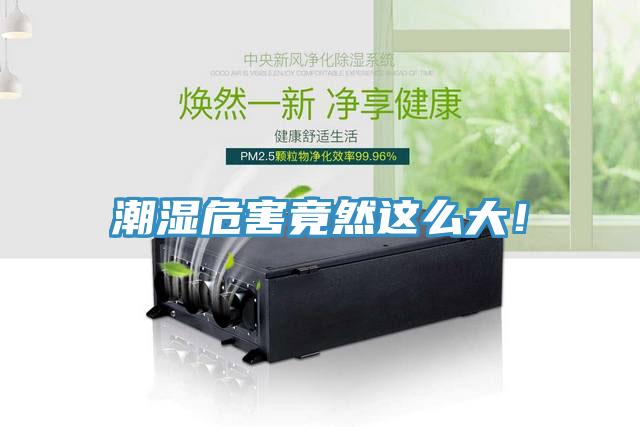 潮湿危害竟然这么大！