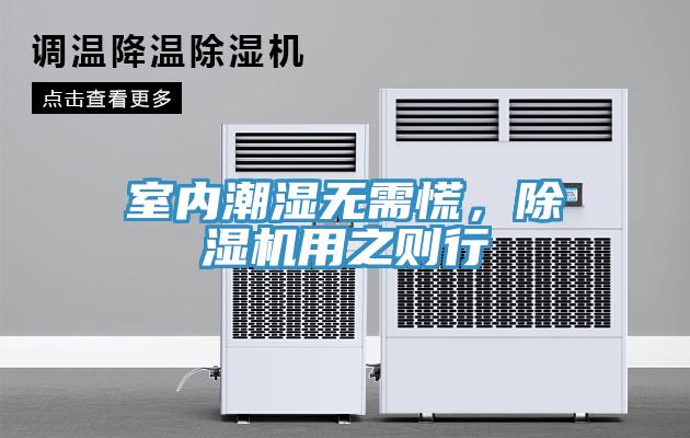 室内潮湿无需慌，MR.好色破解版用之则行