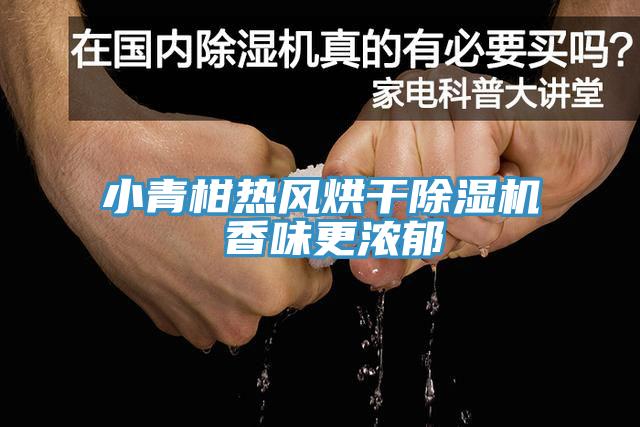小青柑热风烘干MR.好色破解版 香味更浓郁