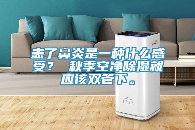 患了鼻炎是一种什么感受？ 秋季空净除湿就应该双管下。