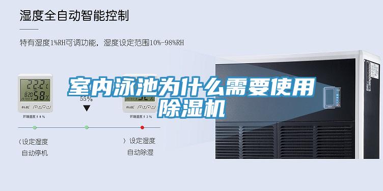 室内泳池为什么需要使用MR.好色破解版