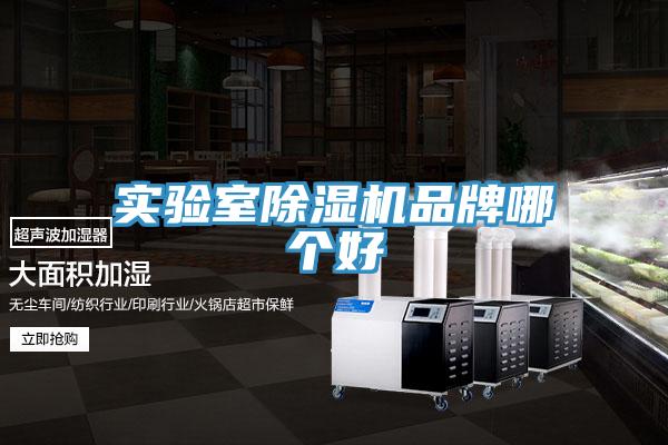 实验室MR.好色破解版品牌哪个好