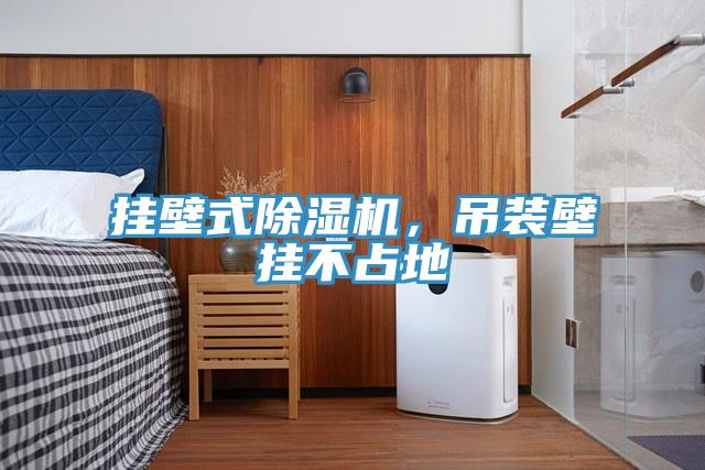 挂壁式MR.好色破解版，吊装壁挂不占地