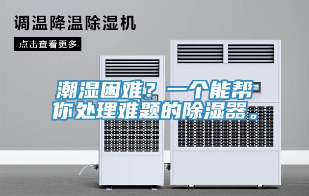 潮湿困难？一个能帮你处理难题的除湿器。