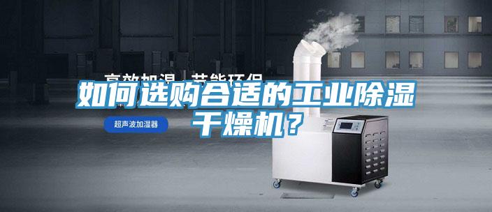 如何选购合适的工业除湿干燥机？