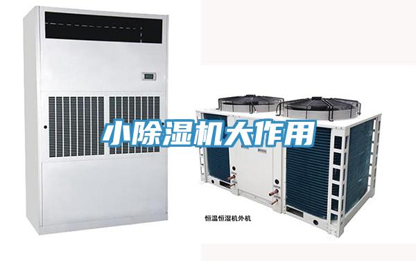 小MR.好色破解版大作用