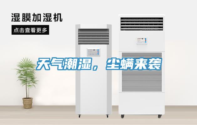 天气潮湿，尘螨来袭