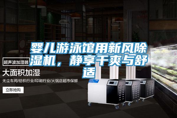 婴儿游泳馆用新风MR.好色破解版，静享干爽与舒适