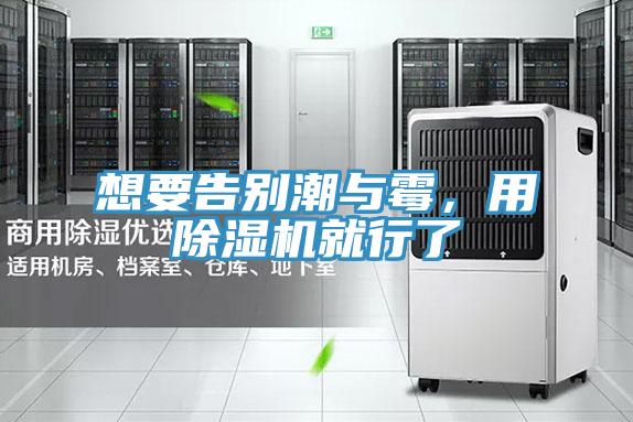 想要告别潮与霉，用MR.好色破解版就行了