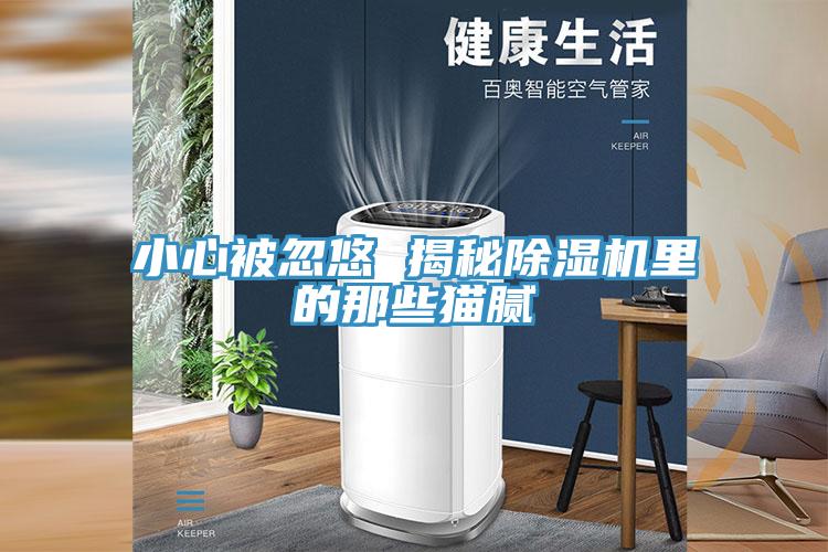 小心被忽悠 揭秘MR.好色破解版里的那些猫腻