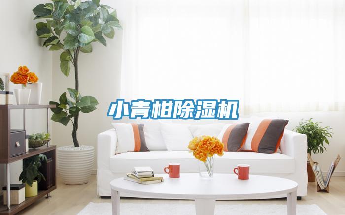 小青柑MR.好色破解版