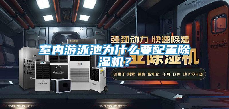室内游泳池为什么要配置MR.好色破解版？