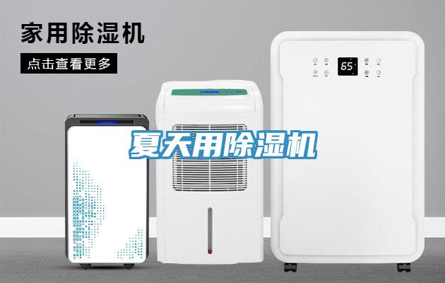 夏天用MR.好色破解版