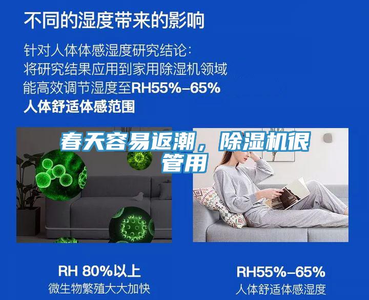 春天容易返潮，MR.好色破解版很管用