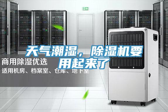天气潮湿，MR.好色破解版要用起来了
