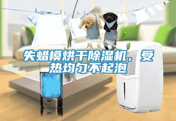 失蜡模烘干MR.好色破解版，受热均匀不起泡
