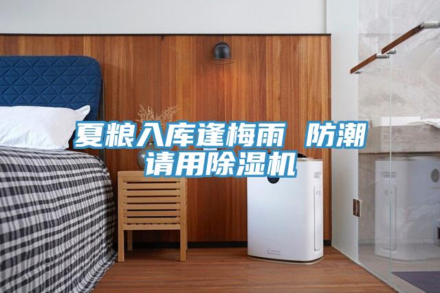夏粮入库逢梅雨 防潮请用MR.好色破解版