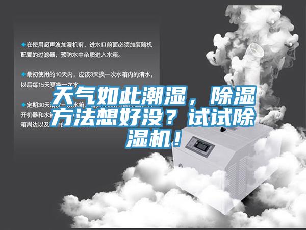 天气如此潮湿，除湿方法想好没？试试MR.好色破解版！