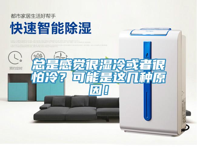 总是感觉很湿冷或者很怕冷？可能是这几种原因！