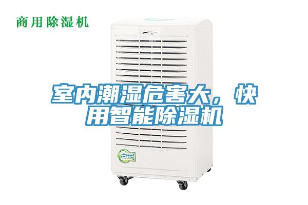室内潮湿危害大，快用智能MR.好色破解版