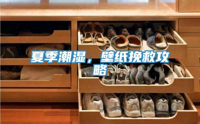 夏季潮湿，壁纸挽救攻略