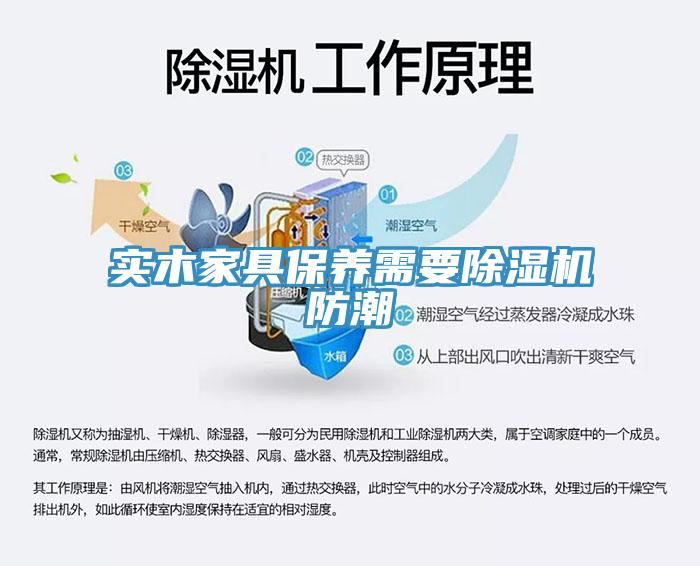 实木家具保养需要MR.好色破解版防潮