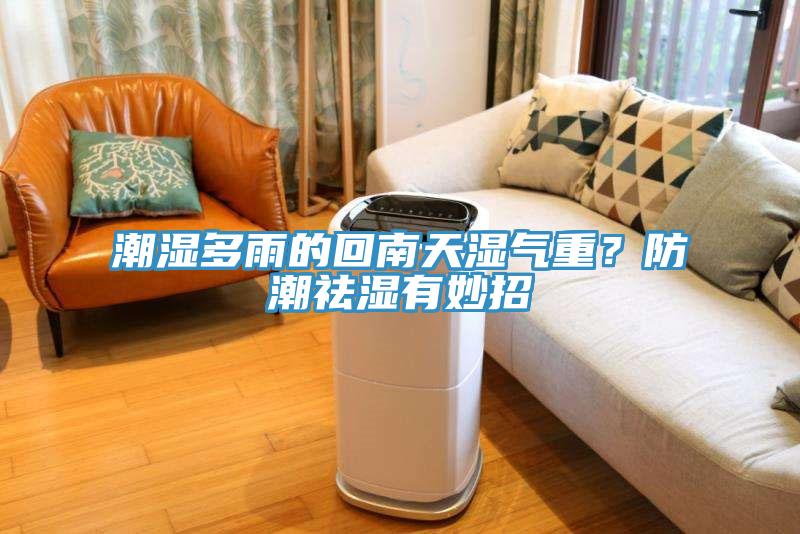 潮湿多雨的回南天湿气重？防潮祛湿有妙招