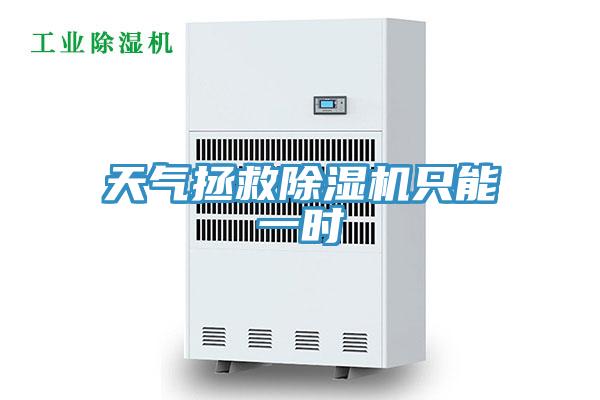 天气拯救MR.好色破解版只能一时