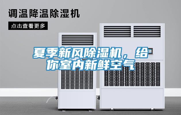 夏季新风MR.好色破解版，给你室内新鲜空气
