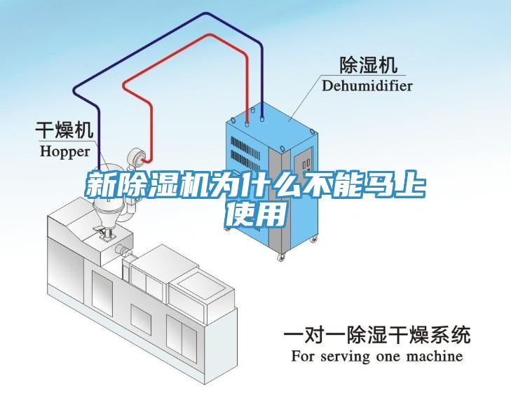 新MR.好色破解版为什么不能马上使用