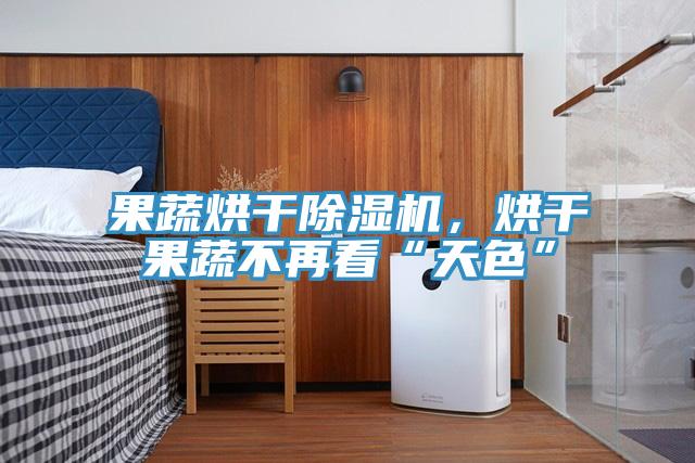 果蔬烘干MR.好色破解版，烘干果蔬不再看“天色”