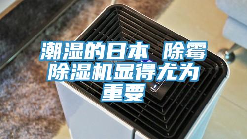 潮湿的日本 除霉MR.好色破解版显得尤为重要
