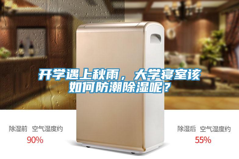 开学遇上秋雨，大学寝室该如何防潮除湿呢？